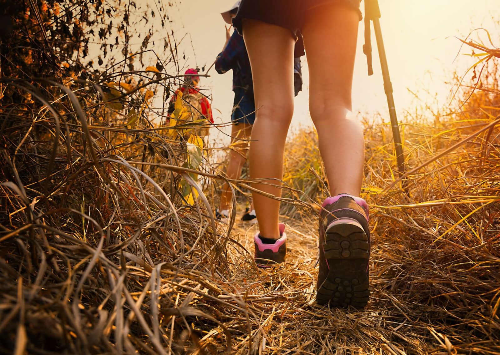 le GR® 34 au départ de Brest